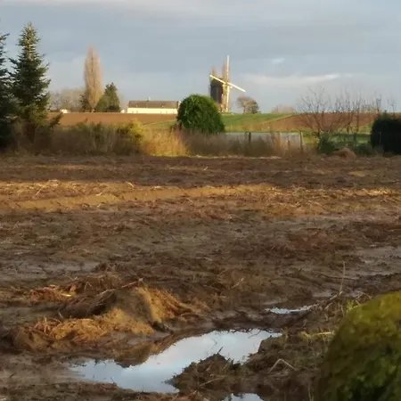Vakantiewoning De Woestijn *
